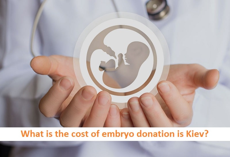 Embryo Donor Cost in Kiev